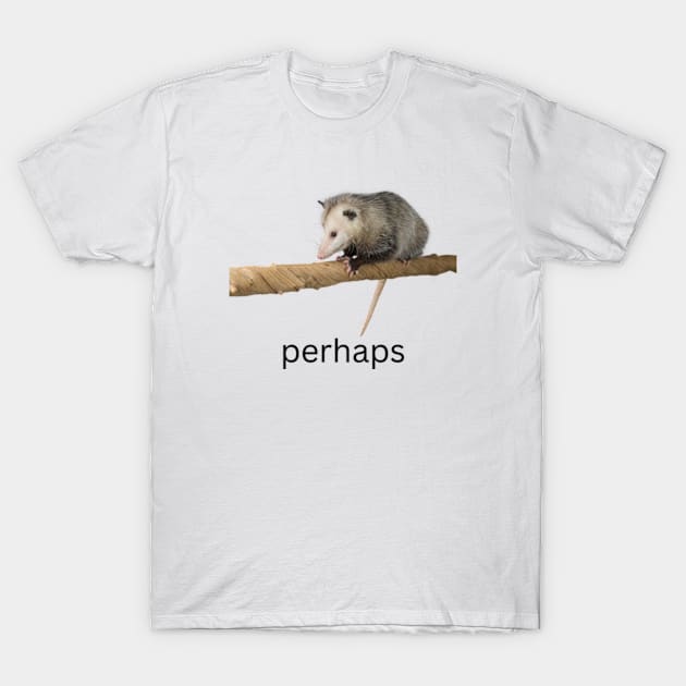 perhaps possum T-Shirt by cloudviewv2